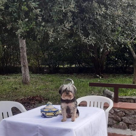 La Casa Di Mario Villa อิทริ ภายนอก รูปภาพ